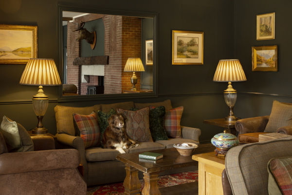 Christmas comes early as dogs stay free at Crerar Hotels all winter ?? ''