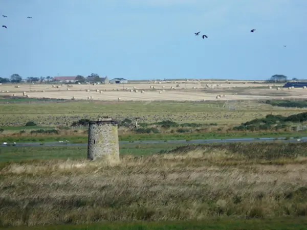 Loch Of Strathbeg Rspb Reserve Geograph Org Uk 1527053