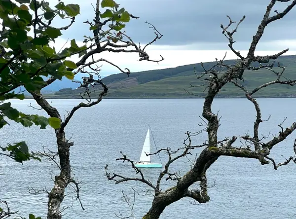 View Over Tobermory Bay
