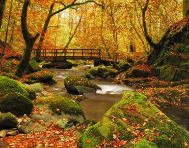 Autumn Walks in the Lake District ?? ''