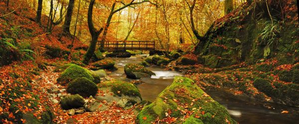 Autumn Walks in the Lake District ?? ''