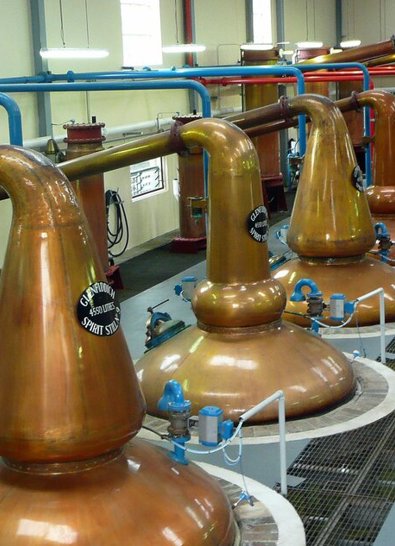 A row of large, gleaming copper pot stills inside a bright Scotch whisky distillery, used for the distillation process. ?? ''