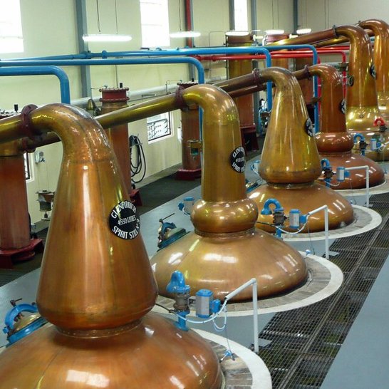A row of large, gleaming copper pot stills inside a bright Scotch whisky distillery, used for the distillation process. ?? ''