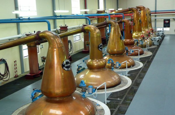 A row of large, gleaming copper pot stills inside a bright Scotch whisky distillery, used for the distillation process. ?? ''
