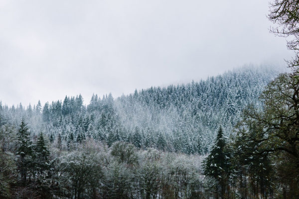 Things to do in Perthshire in Winter ?? ''