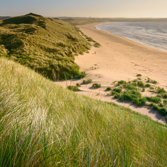 Walks in Aberdeenshire ?? ''