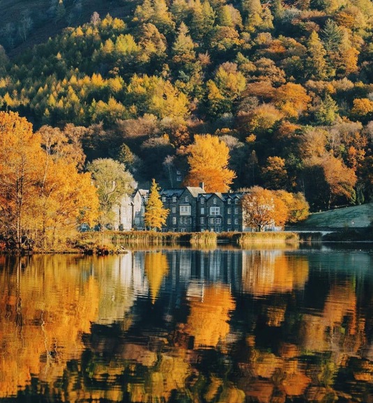 DAF AUTUMN.Jpg
