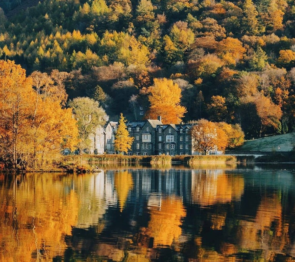DAF AUTUMN.Jpg