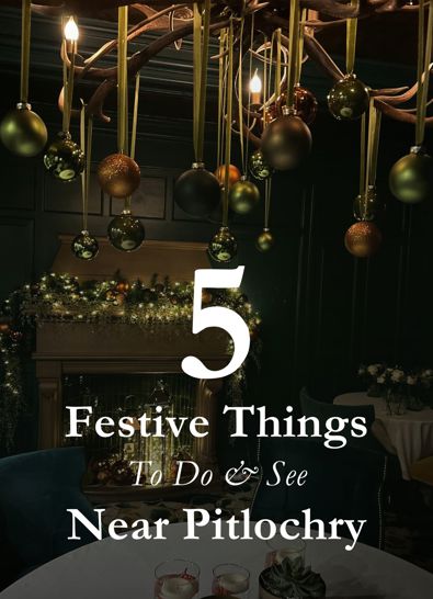 FC Festive Cover