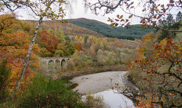 perthshire trees ?? ''