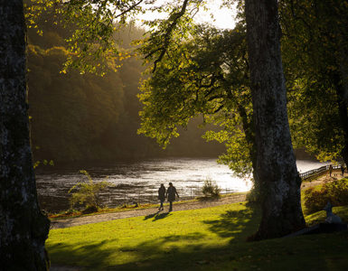 perthshire big trees ?? ''
