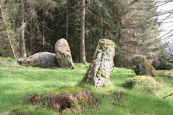 Cothiemuir
