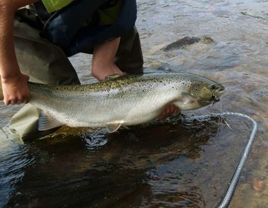 salmon fishing perthshire ?? ''